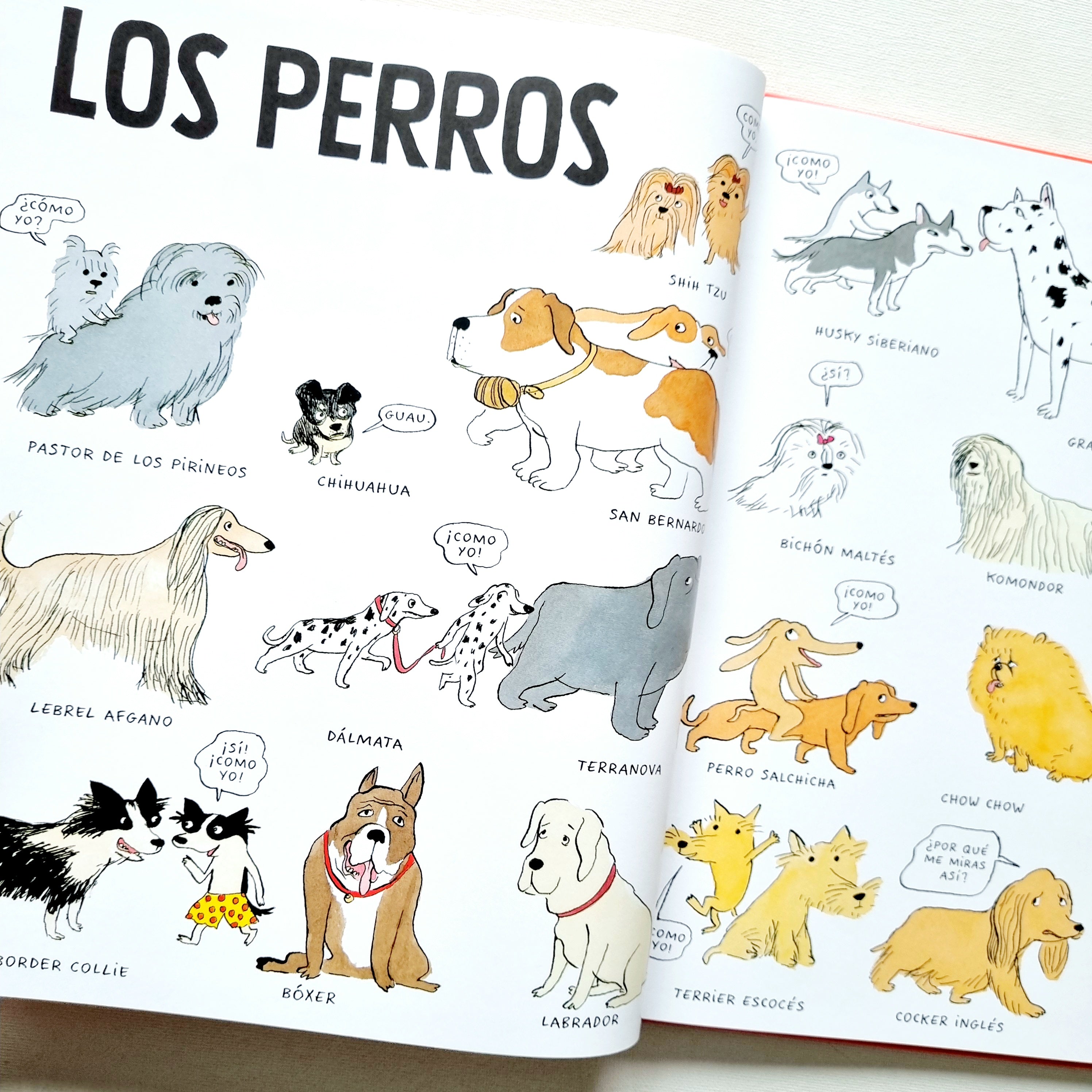 Todo todo sobre los perritos Todo todo sobre los perritos